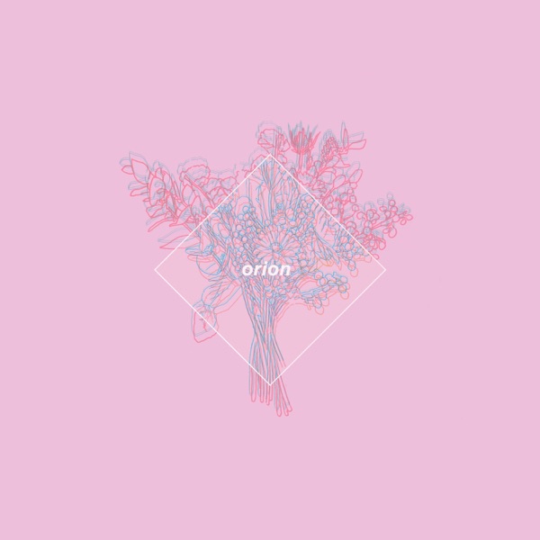 orion 封面